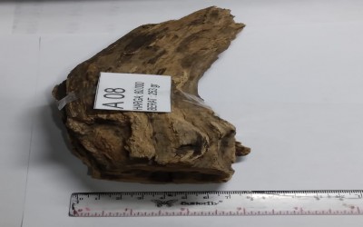 KAYU A 60.000 UNTUK PEMELIHARAAN TARANTULA, REPTIL, SERANGGA, DLL 